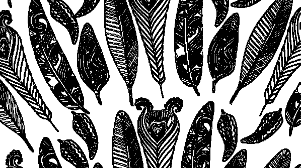 раскраска онлайн Пёрышки