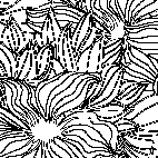 раскраска онлайн Цветы