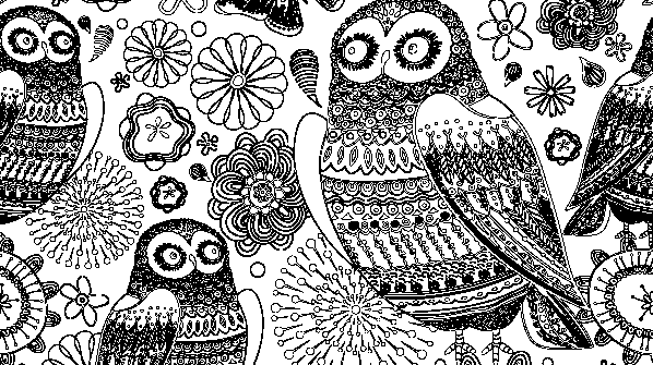 раскраска онлайн Совы и бабочки