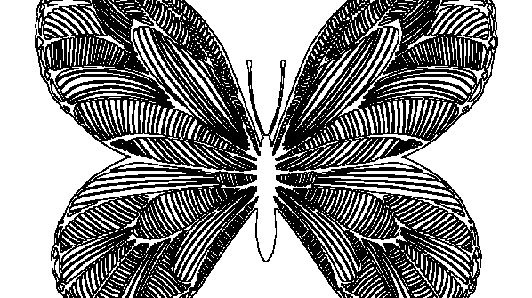 раскраска онлайн Бабочка