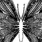 раскраска онлайн Бабочка